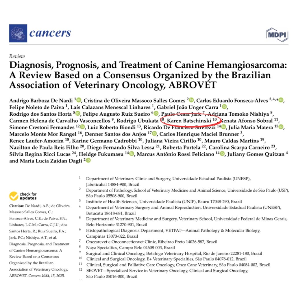 Diagnosis, Prognosis, and Treatment of Canine Hemangiosarcoma- A Review Based on a Consensus Organized by the Brazilian Association of Veterinary Oncology, ABROVET